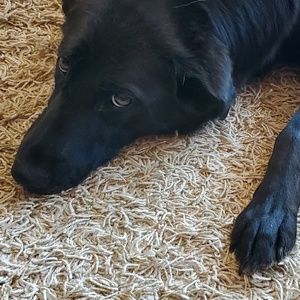 Meet your Posher, Simone